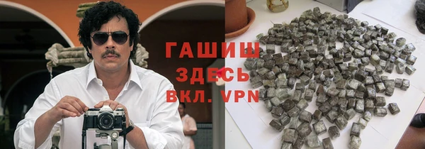PSILOCYBIN Алзамай