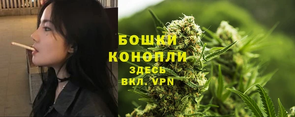 ALPHA PVP Алексеевка