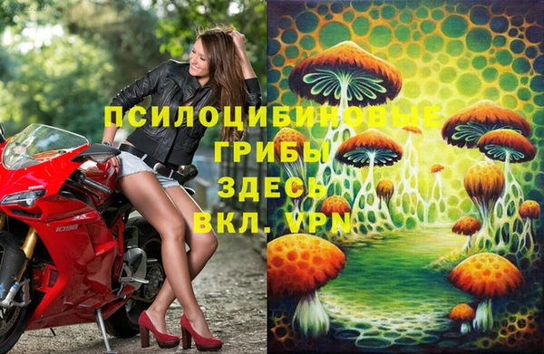 крисы Алексин