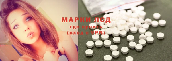 PSILOCYBIN Алзамай