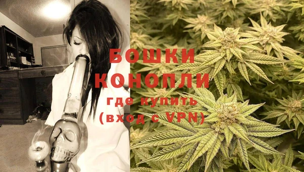 PSILOCYBIN Алзамай