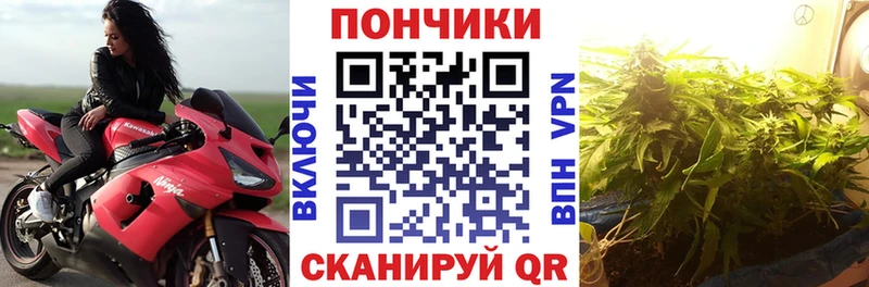 Бошки марихуана планчик  наркотики  Пущино 